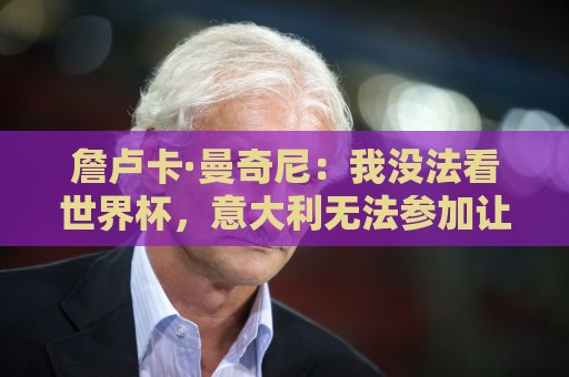 詹卢卡·曼奇尼：我没法看世界杯，意大利无法参加让我们感到痛苦