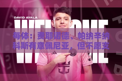 每体:费耶诺德、帕纳辛纳科斯有意佩尼亚,但不愿支付转会费 每体:费耶诺德、帕纳辛纳科斯有意佩尼亚,但不愿支付转会费
