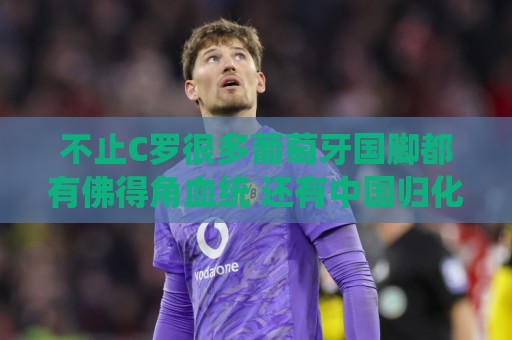 不止C罗很多葡萄牙国脚都有佛得角血统 还有中国归化球员德尔加多