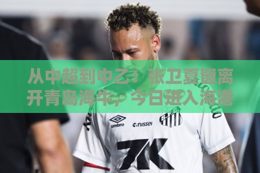 从中超到中乙!张卫夏窗离开青岛海牛,今日进入海港B队替补名单 从中超到中乙!张卫夏窗离开青岛海牛,今日进入海港B队替补名单