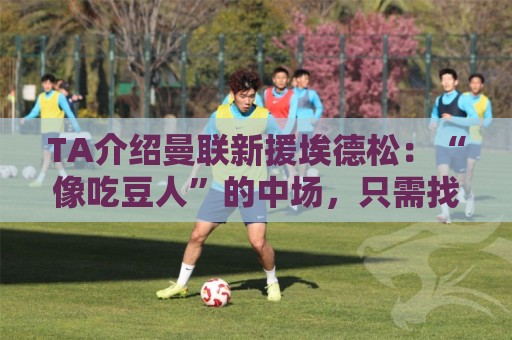 TA介绍曼联新援埃德松：“像吃豆人”的中场，只需找回稳定性