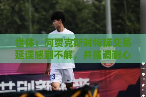 世体:阿贾克斯对特狮交易延误感到不解,并强调耐心并非无限 世体:阿贾克斯对特狮交易延误感到不解,并强调耐心并非无限