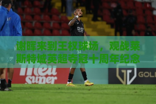 谢晖来到王权球场，观战莱斯特城英超夺冠十周年纪念赛