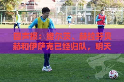 回声报:维尔茨、赫拉芬贝赫和伊萨克已经归队,明天加入训练 回声报:维尔茨、赫拉芬贝赫和伊萨克已经归队,明天加入训练