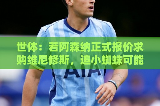 世体：若阿森纳正式报价求购维尼修斯，追小蜘蛛可能性将大幅降低