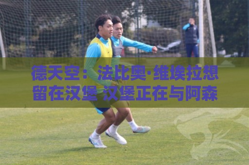 德天空:法比奥·维埃拉想留在汉堡 汉堡正在与阿森纳谈 德天空:法比奥·维埃拉想留在汉堡 汉堡正在与阿森纳谈