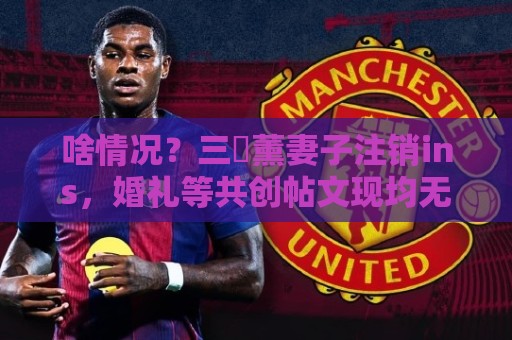 啥情况?三笘薰妻子注销ins,婚礼等共创帖文现均无法查看 啥情况?三笘薰妻子注销ins,婚礼等共创帖文现均无法查看