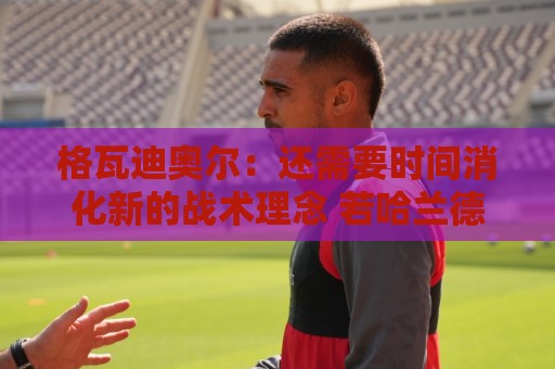 格瓦迪奥尔:还需要时间消化新的战术理念 若哈兰德能来会更好玩 格瓦迪奥尔:还需要时间消化新的战术理念 若哈兰德能来会更好玩