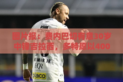 图片报：费内巴切有意30岁中锋吉拉西，多特愿以4000万欧元出售