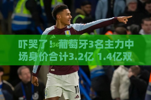 吓哭了!葡萄牙3名主力中场身价合计3.2亿 1.4亿双核+破纪录的B费 吓哭了!葡萄牙3名主力中场身价合计3.2亿 1.4亿双核+破纪录的B费