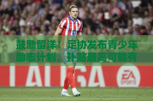 鼓励留洋！足协发布青少年励志计划，补贴最高可能有163.6万元/年