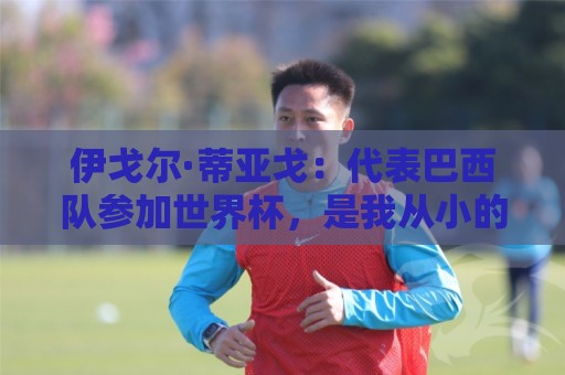 伊戈尔·蒂亚戈:代表巴西队参加世界杯,是我从小的梦想 伊戈尔·蒂亚戈:代表巴西队参加世界杯,是我从小的梦想