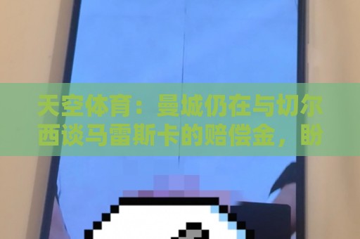 天空体育:曼城仍在与切尔西谈马雷斯卡的赔偿金,盼本周敲定协议 天空体育:曼城仍在与切尔西谈马雷斯卡的赔偿金,盼本周敲定协议