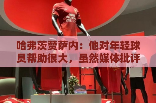 哈弗茨赞萨内：他对年轻球员帮助很大，虽然媒体批评他但他是顶级