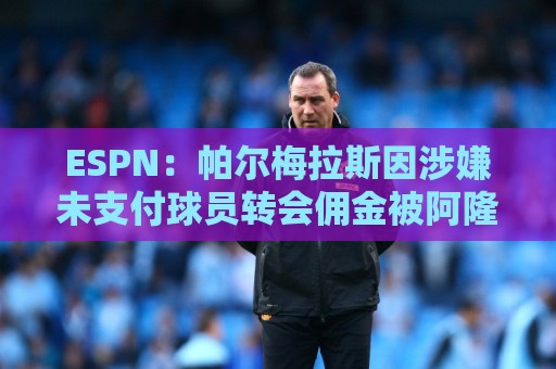 ESPN:帕尔梅拉斯因涉嫌未支付球员转会佣金被阿隆索经纪人起诉 ESPN:帕尔梅拉斯因涉嫌未支付球员转会佣金被阿隆索经纪人起诉