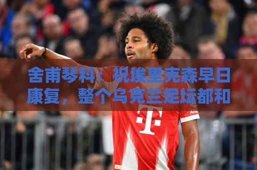 舍甫琴科:祝埃里克森早日康复,整个乌克兰足坛都和你同在 舍甫琴科:祝埃里克森早日康复,整个乌克兰足坛都和你同在