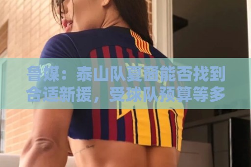 鲁媒:泰山队夏窗能否找到合适新援,受球队预算等多重因素影响 鲁媒:泰山队夏窗能否找到合适新援,受球队预算等多重因素影响